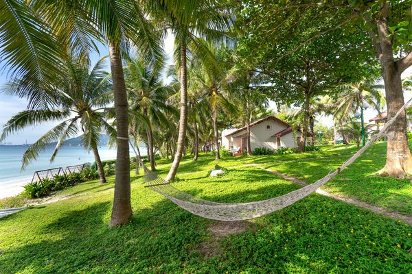 Où trouver les meilleures expériences de plongée avec les requins-baleines aux Philippines?