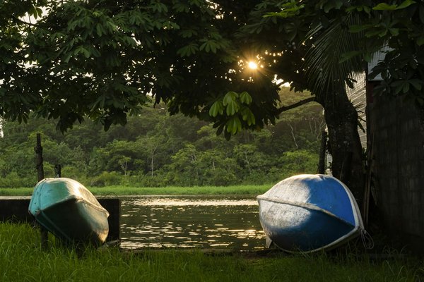 Quels sont les meilleurs spots pour observer les tortues de mer aux Seychelles?